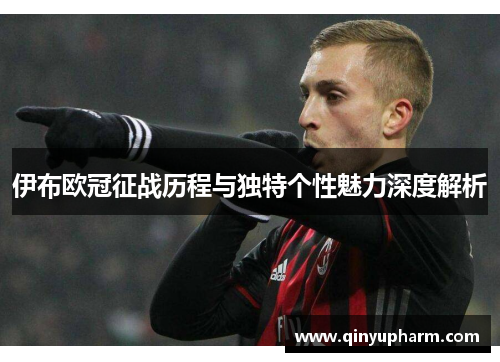 伊布欧冠征战历程与独特个性魅力深度解析