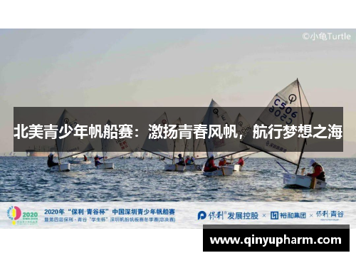 北美青少年帆船赛：激扬青春风帆，航行梦想之海