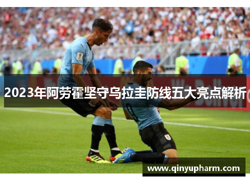 2023年阿劳霍坚守乌拉圭防线五大亮点解析