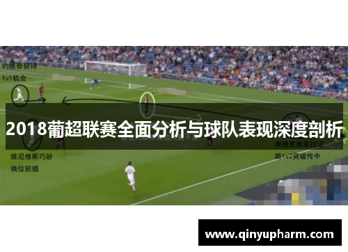 2018葡超联赛全面分析与球队表现深度剖析
